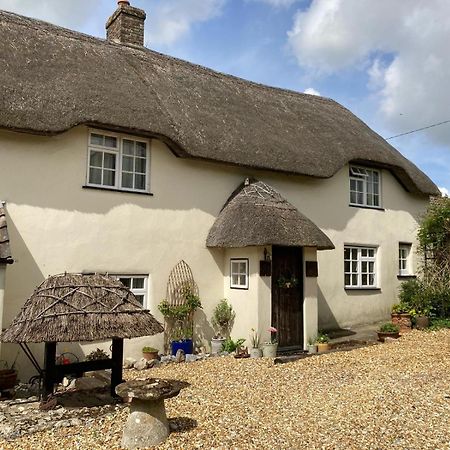 Guest Suite At 31 Little England Milborne Saint Andrew Εξωτερικό φωτογραφία