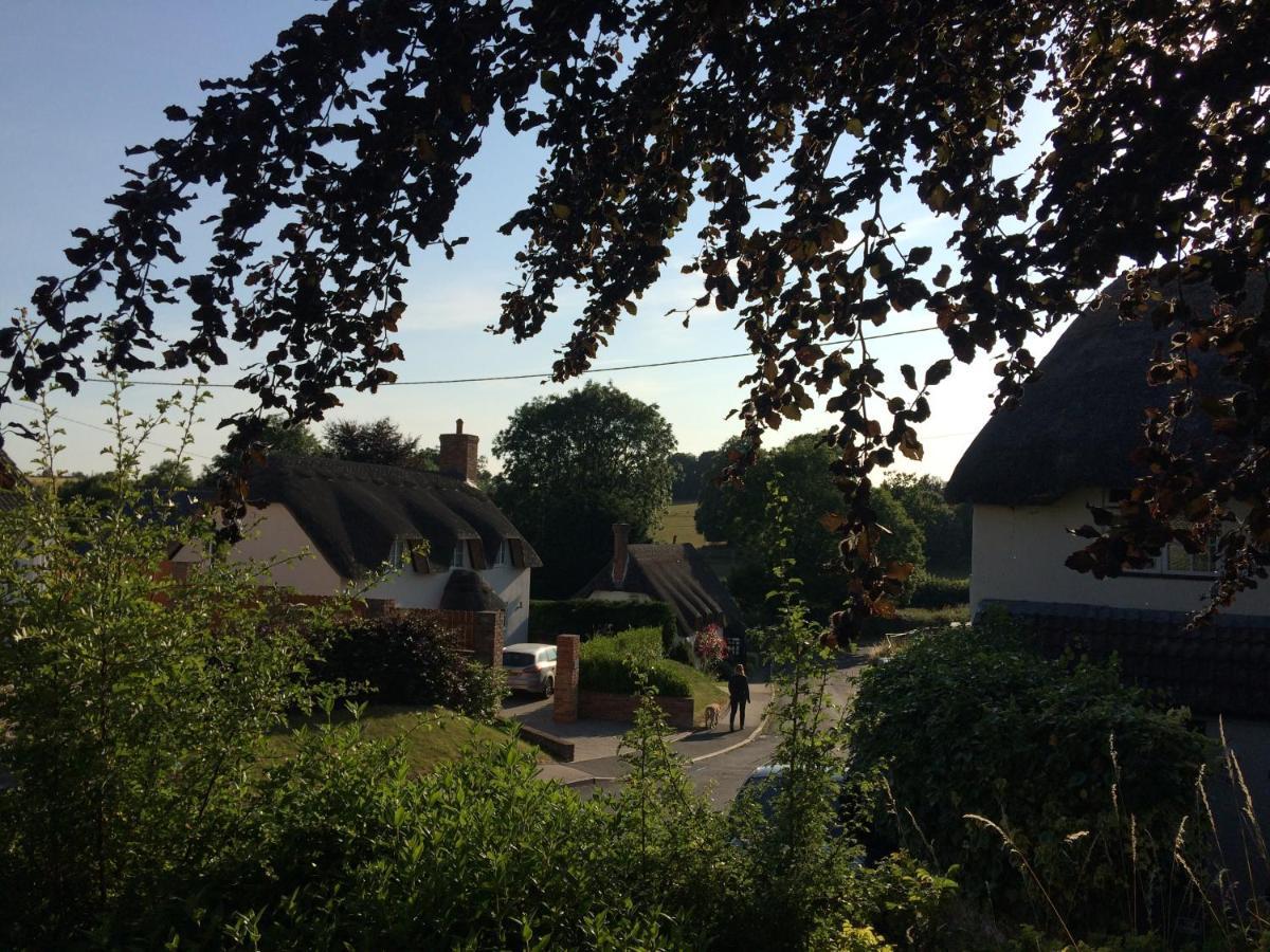 Guest Suite At 31 Little England Milborne Saint Andrew Εξωτερικό φωτογραφία